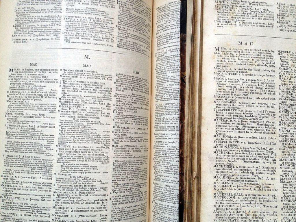 Close-up of an old dictionary page with headwords printed in small capitals